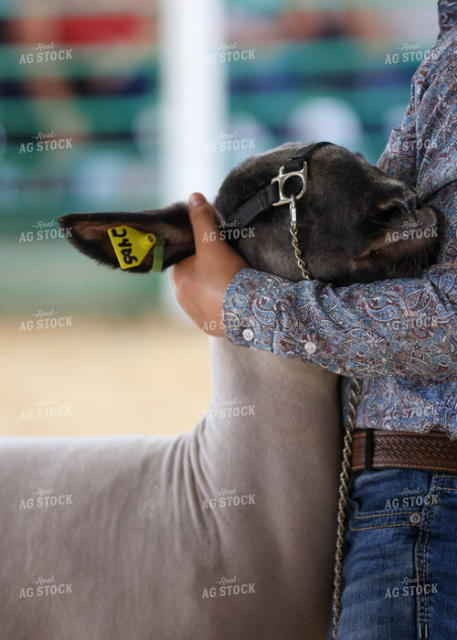 Showing Goats 160146