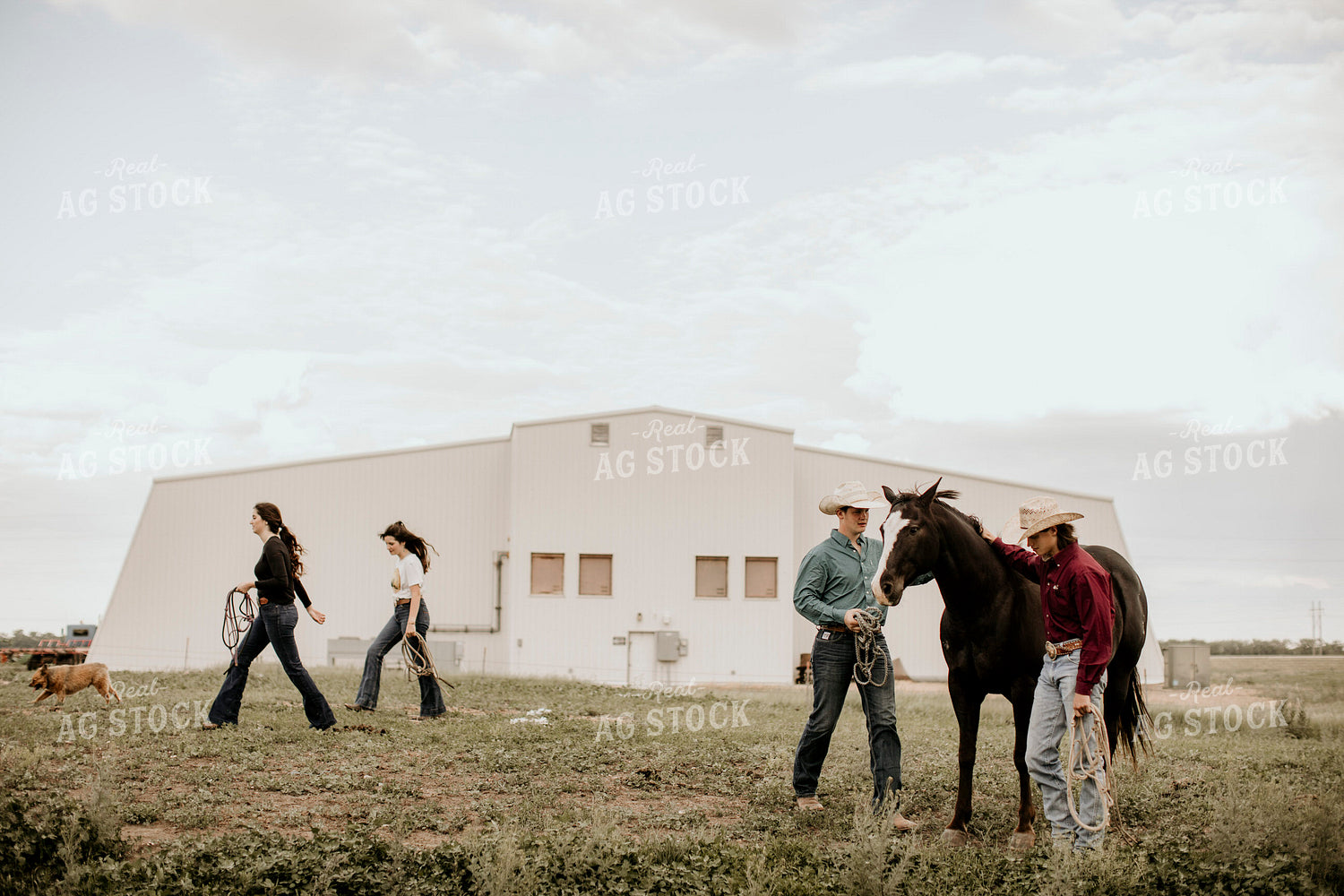 Feedyard 3053