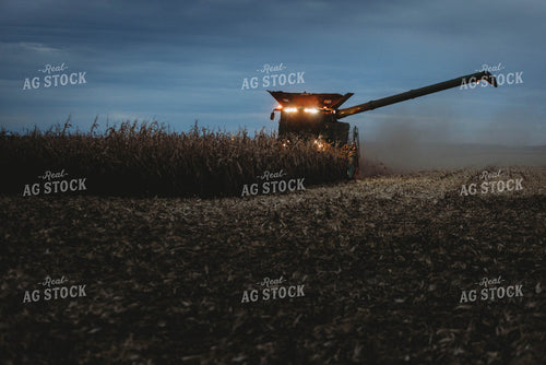 Corn Harvest 8637