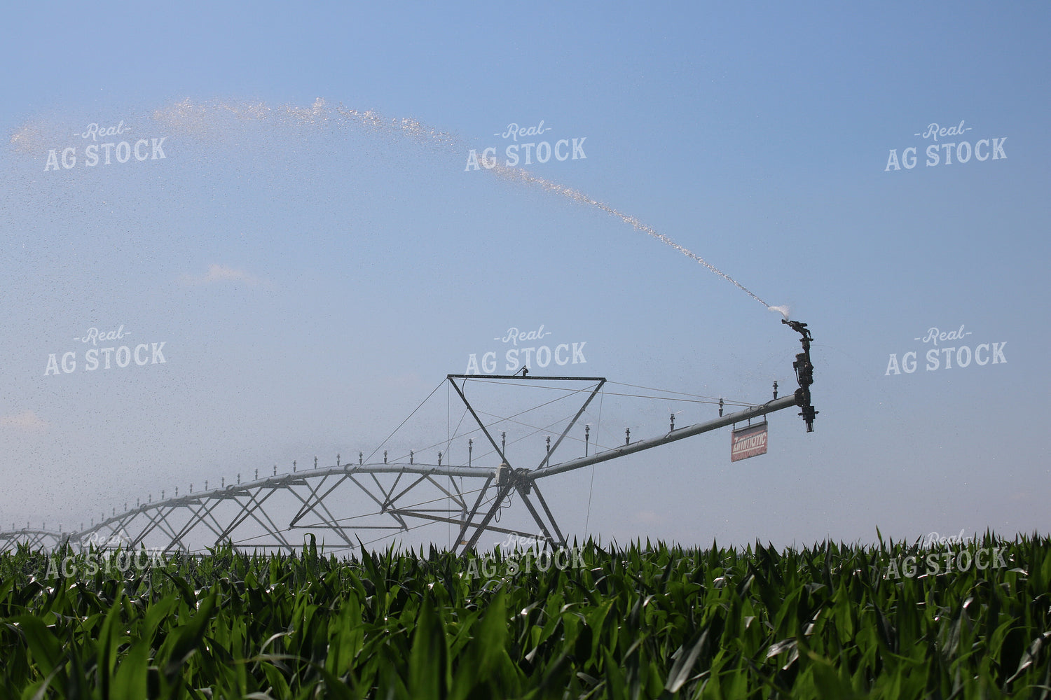 Irrigation System 82022