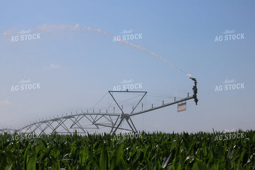 Irrigation System 82022