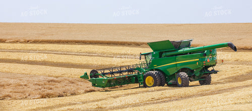 Wheat Harvest 145045