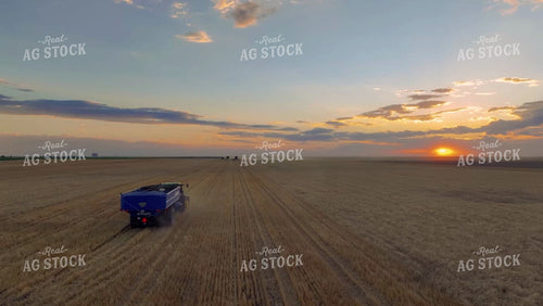 Aerial of Wheat Harvest 199024