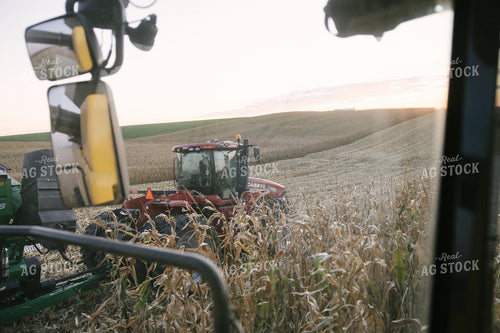 Nebraska Corn Harvest 70016