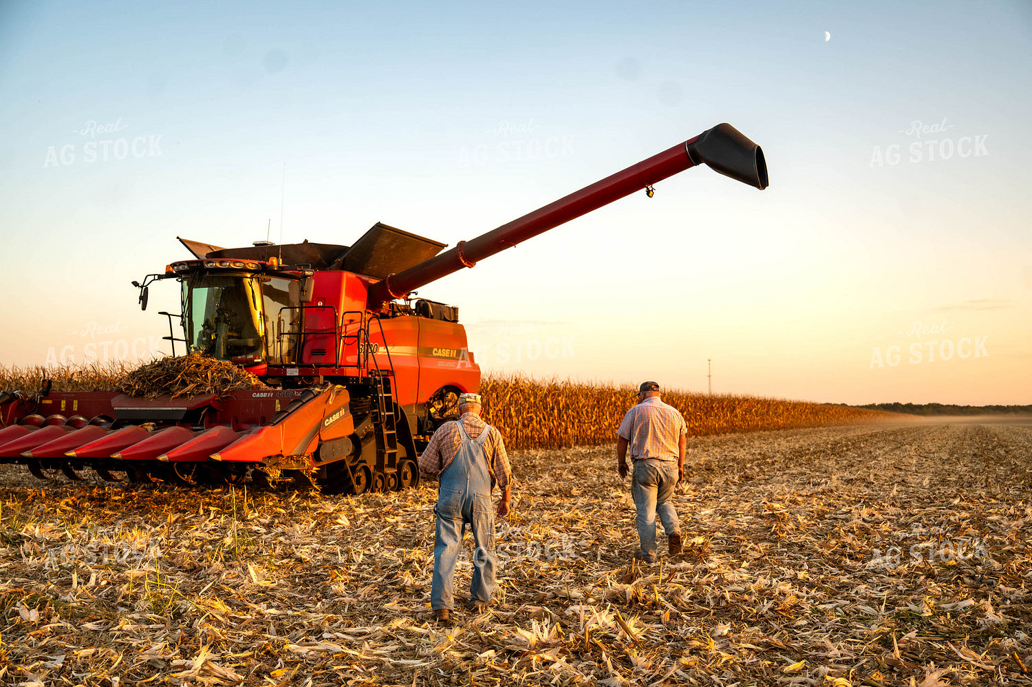 Farm Family at Corn Harvest 115909