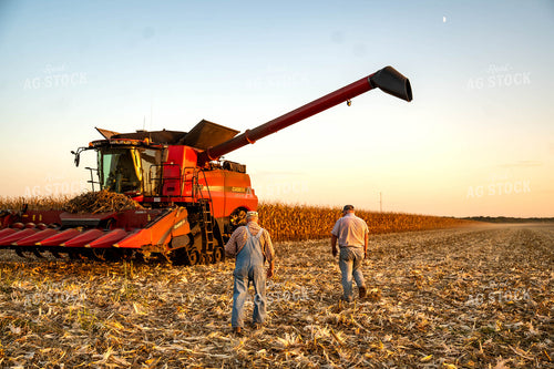 Farm Family at Corn Harvest 115909