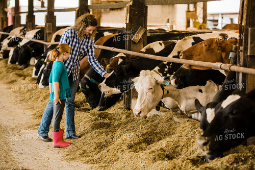 Dairy 2702
