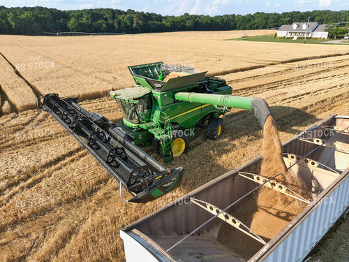 Combine Emptying Wheat in Semi 79025