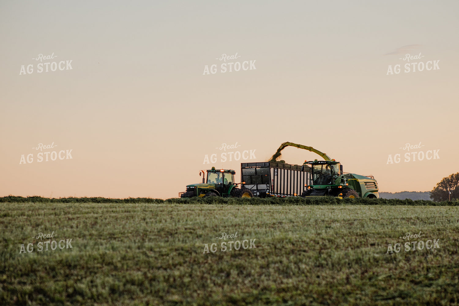 Haylage Harvest 272032