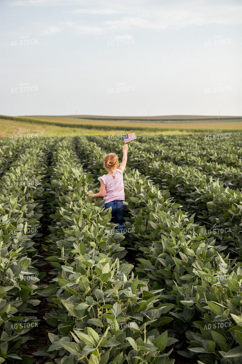 Farm Kid with American Flag in Soybean Field 67370
