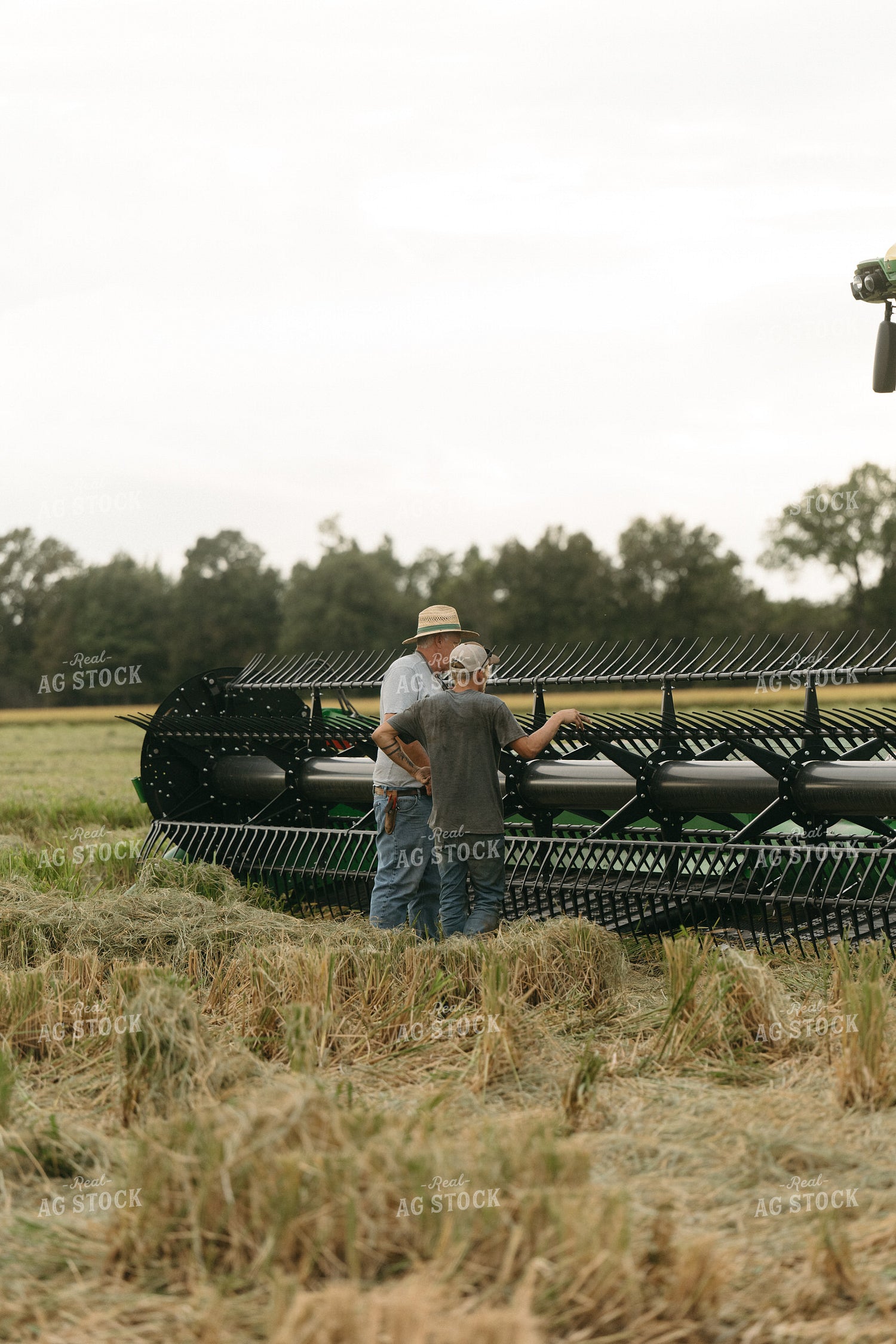 Farmers Fixing Combine in Rice Field 125268