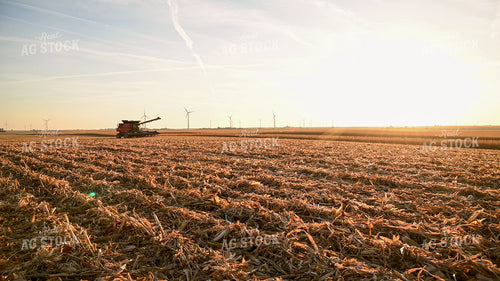 Combine Driving through Field at Sunset 25779
