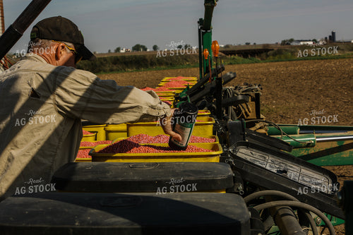 Planting 2884