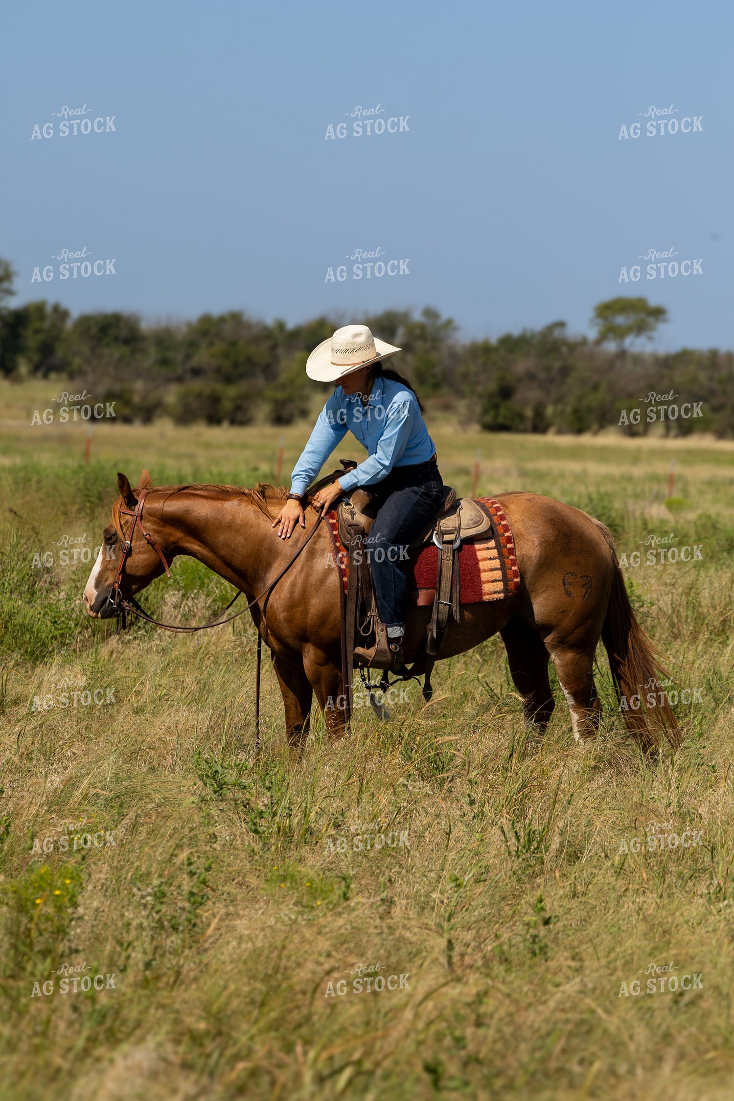 Female Rancher Horseback 71038