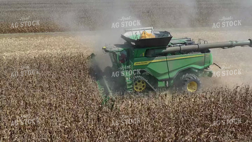 Corn Harvest 79511