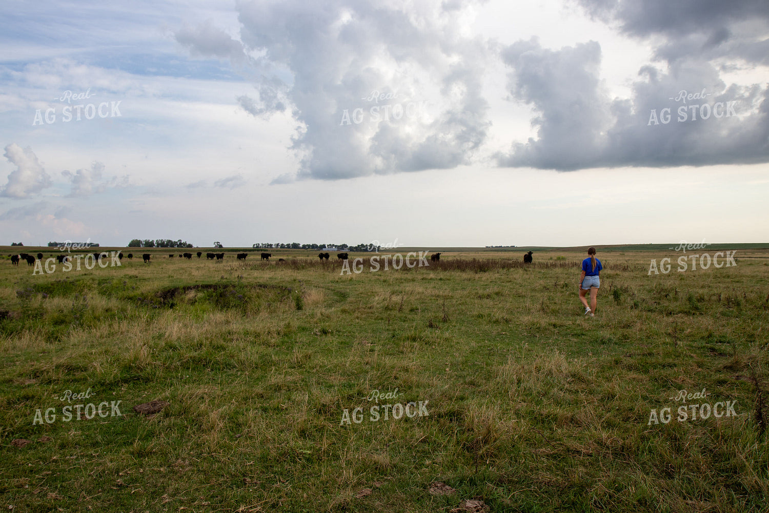 Farmer Walking in Pasture 67471