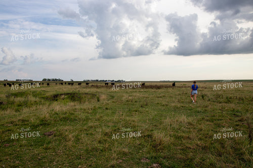 Farmer Walking in Pasture 67471