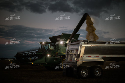 Unloading Soybeans into Semi 6850