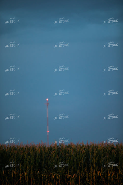 Corn Field Dark Sky 3217