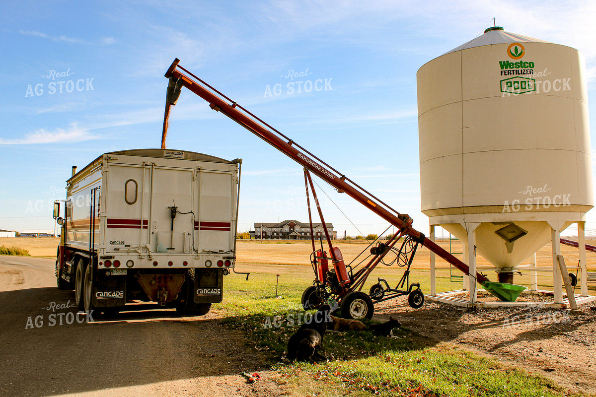 Loading Fertilizer Into Truck 187361