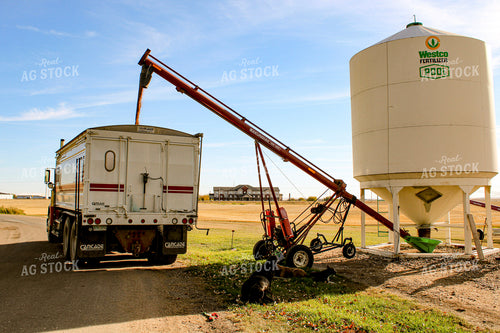 Loading Fertilizer Into Truck 187361