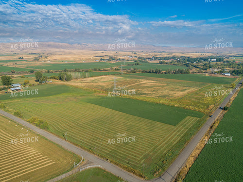 Aerial of Cut Hay Field 122046