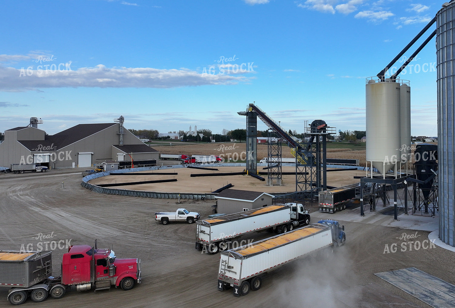 Grain Elevator 141478