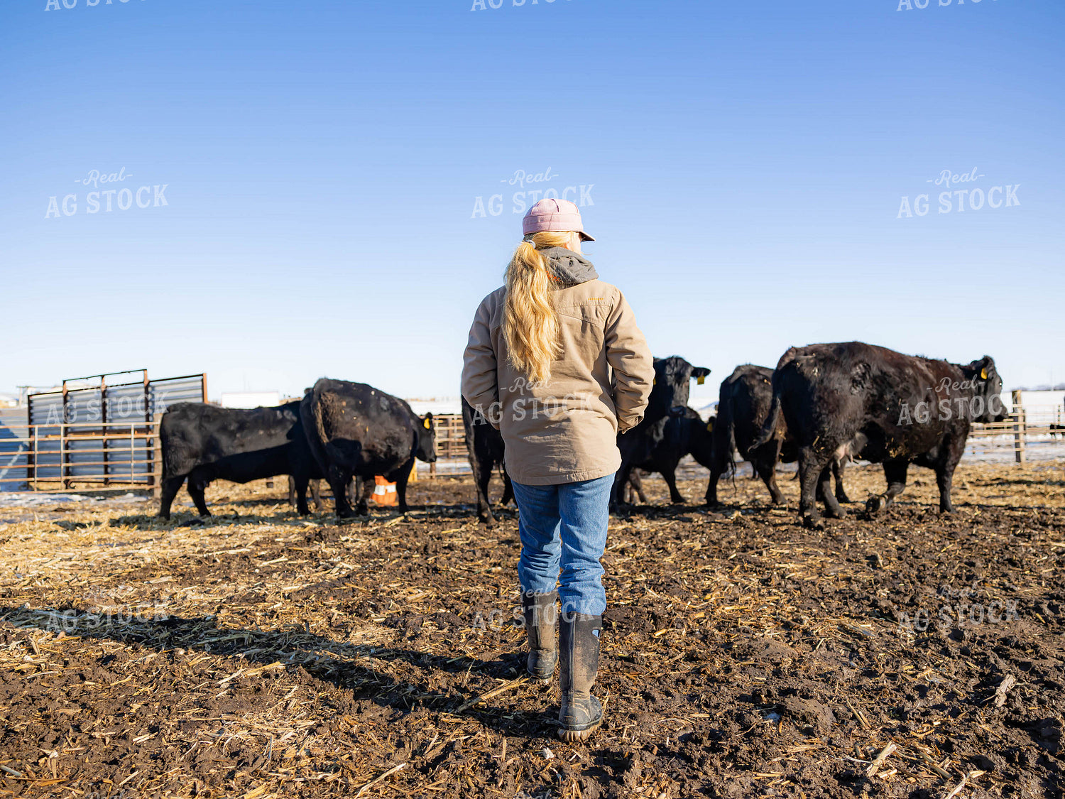 Rancher in Cattle Fence 70225