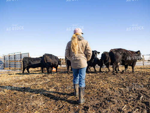 Rancher in Cattle Fence 70225