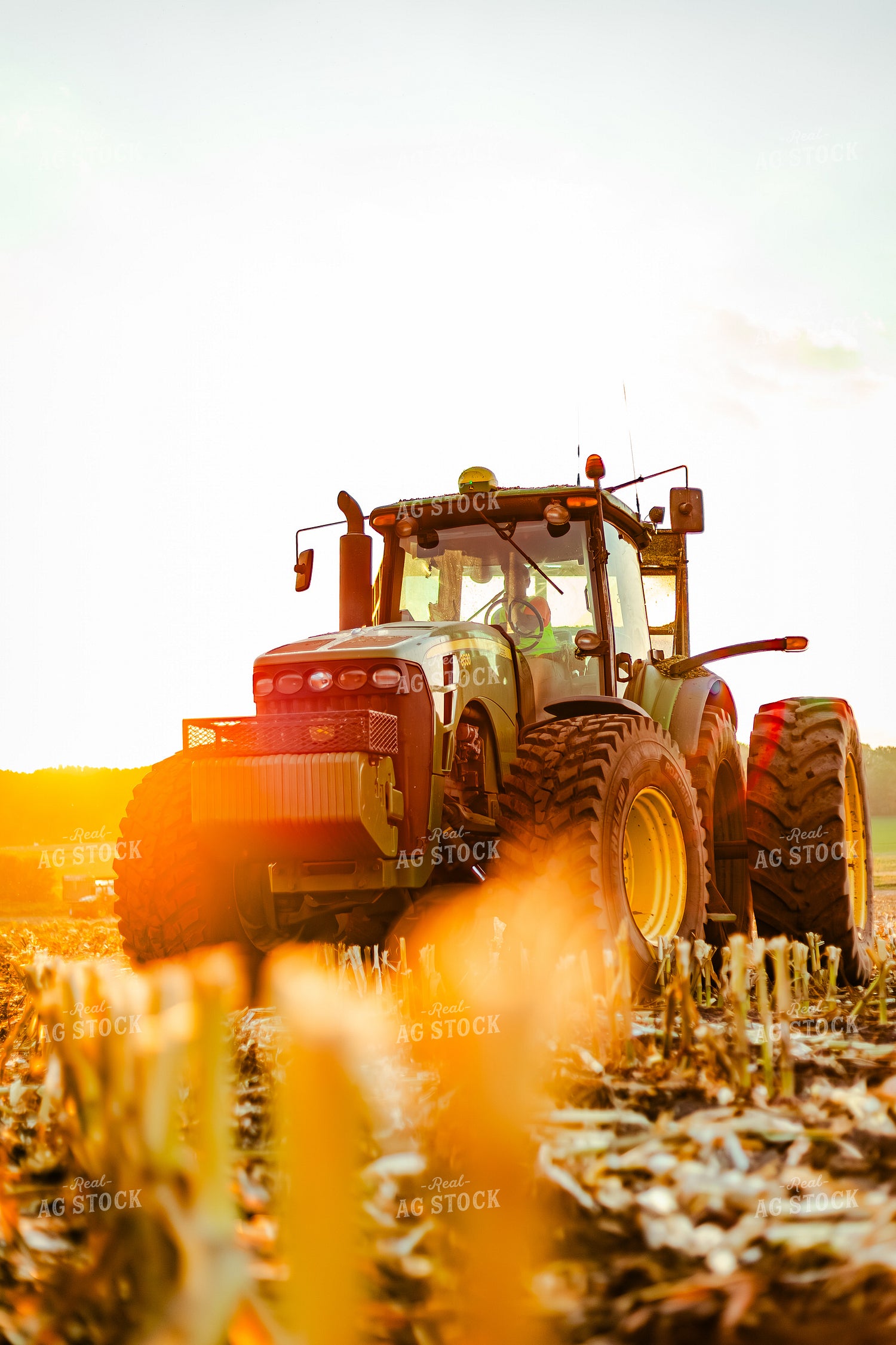 Corn Silage Harvest 272057
