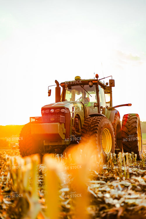 Corn Silage Harvest 272057