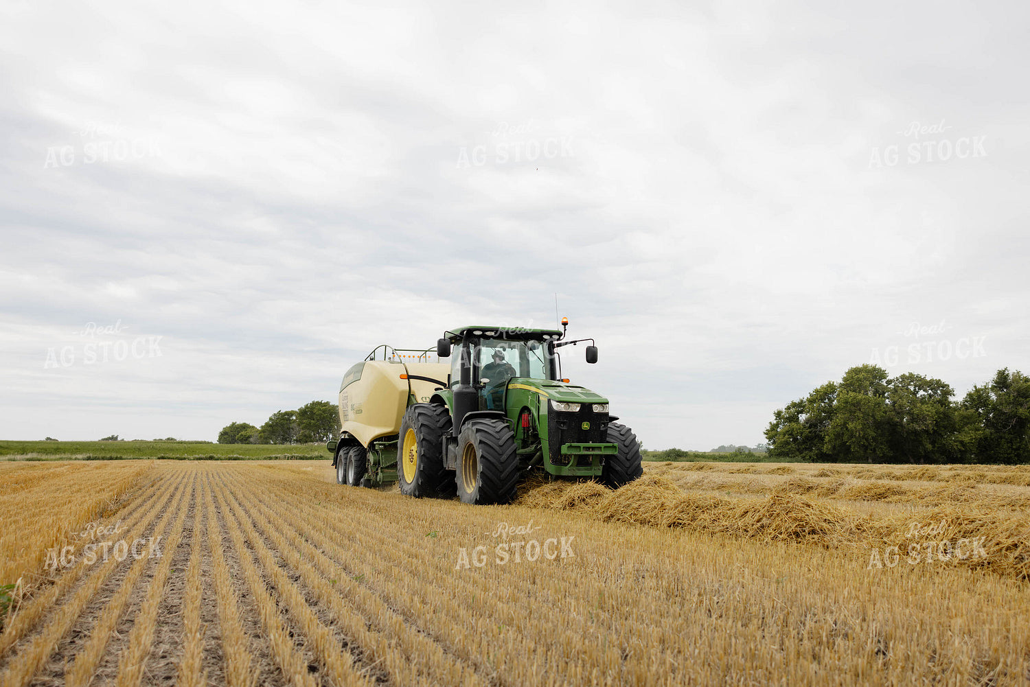 Baling Wheat Straw 296024