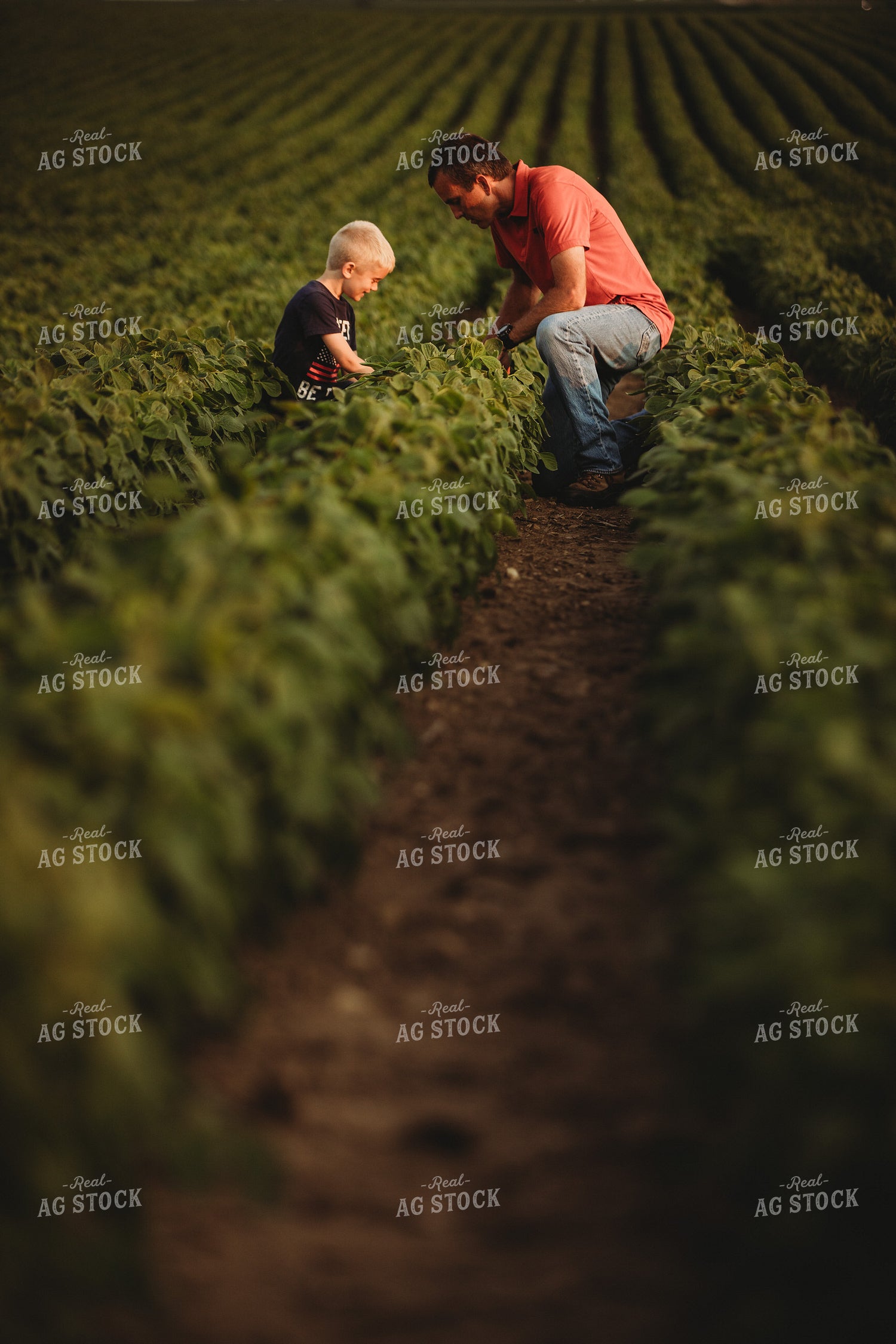Farmer and Farm Kid Checking Crops in Soybean Field 4598
