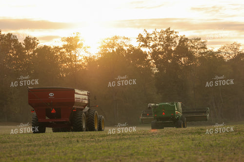 Combine and Grain Cart in Soybean Field 52254