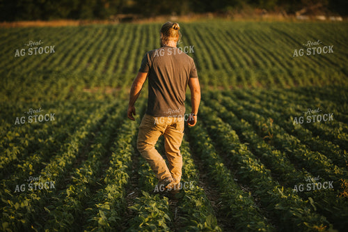 Farmer in Soybean Field 6012
