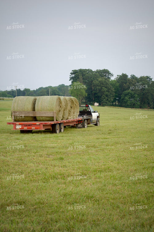 Driving Hay Bales to Storage 251172