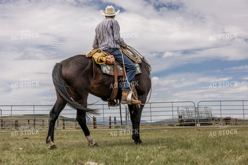 Cowboy on Horseback 304093