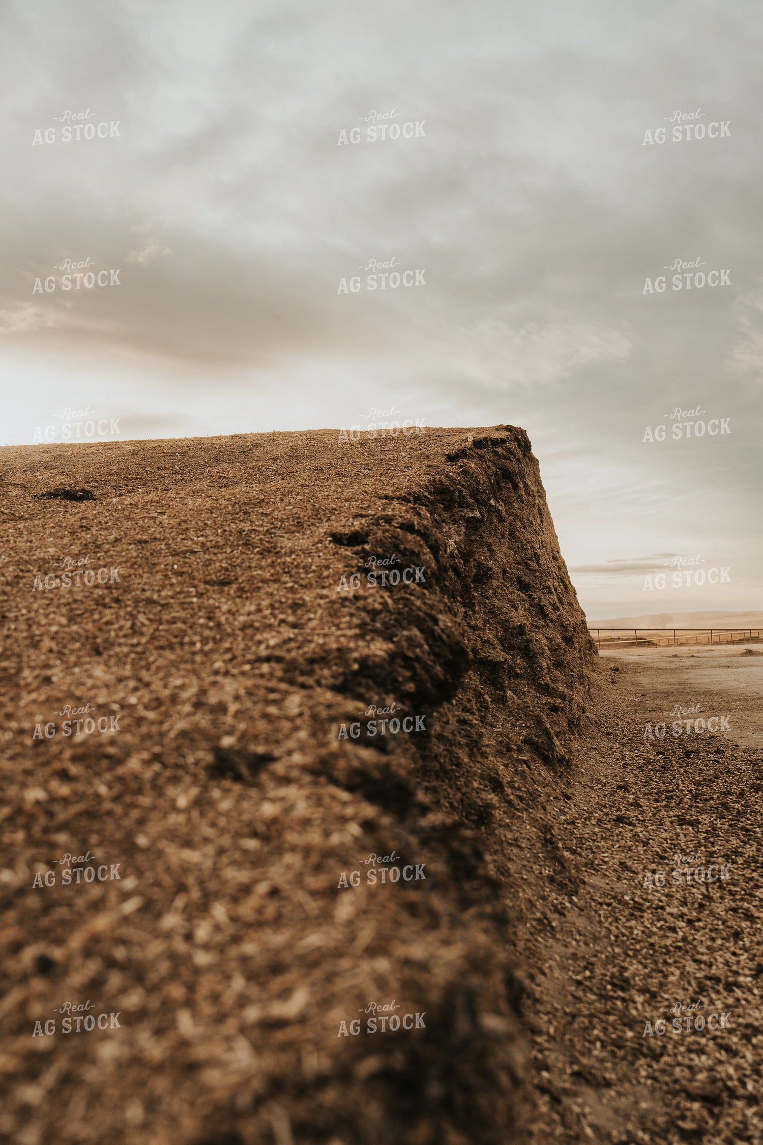 Uncovered Silage Pile 61269