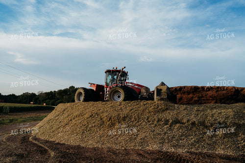 Packing Silage Pile 196365