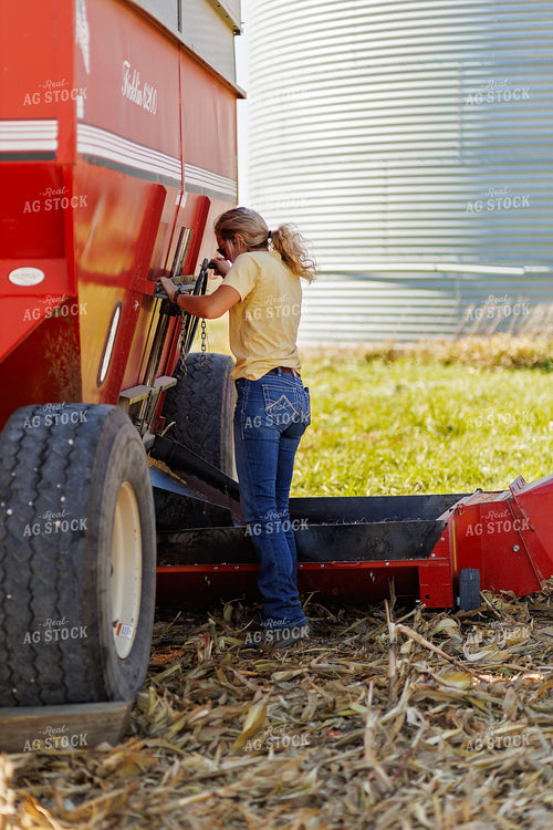 Dumping Harvested Corn into Sweep Auger 93226