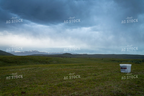 Wide Open Grassland with Pastoral Scenery Beneath a Cloudy Sky 65285