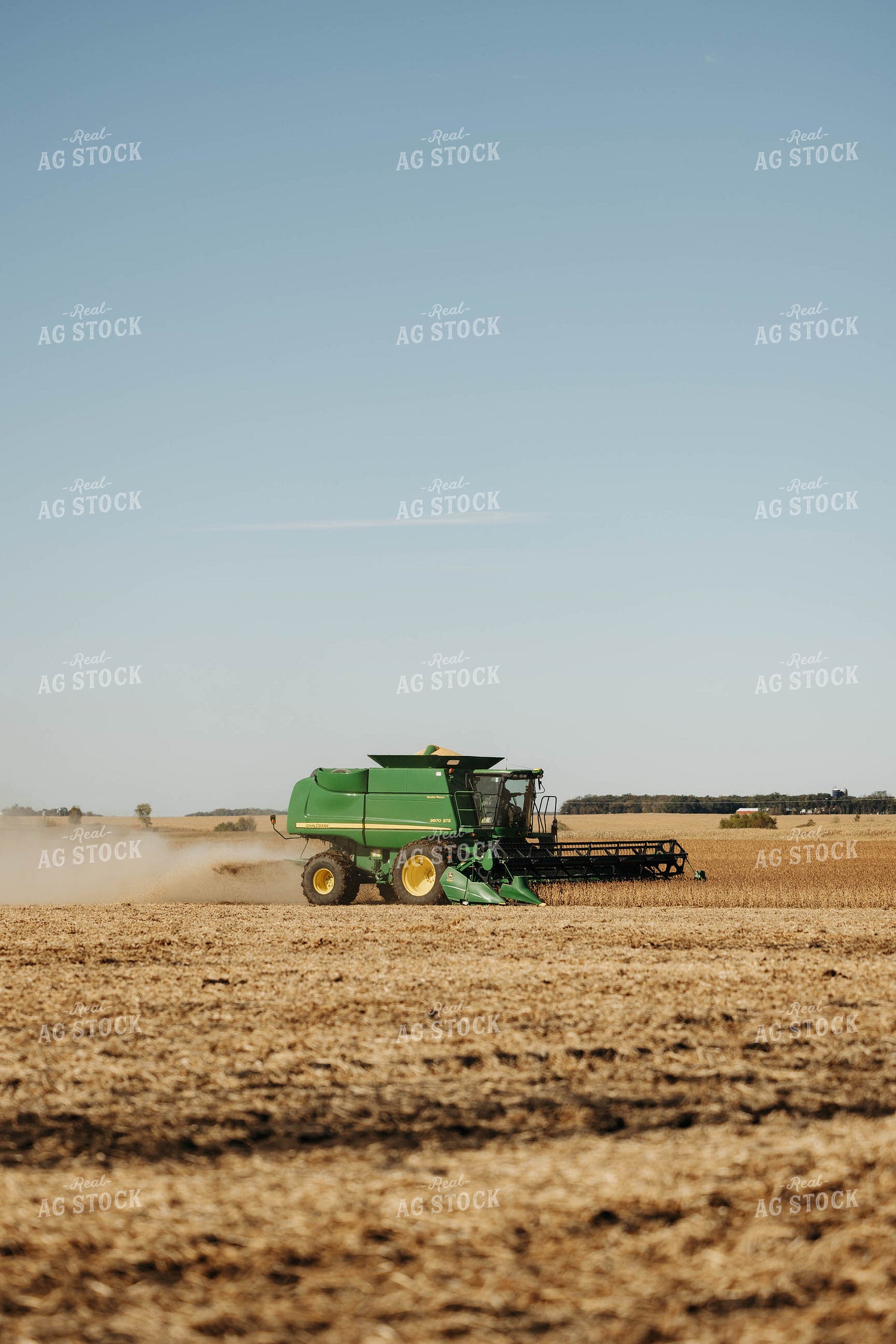 Harvesting Soybeans 152877