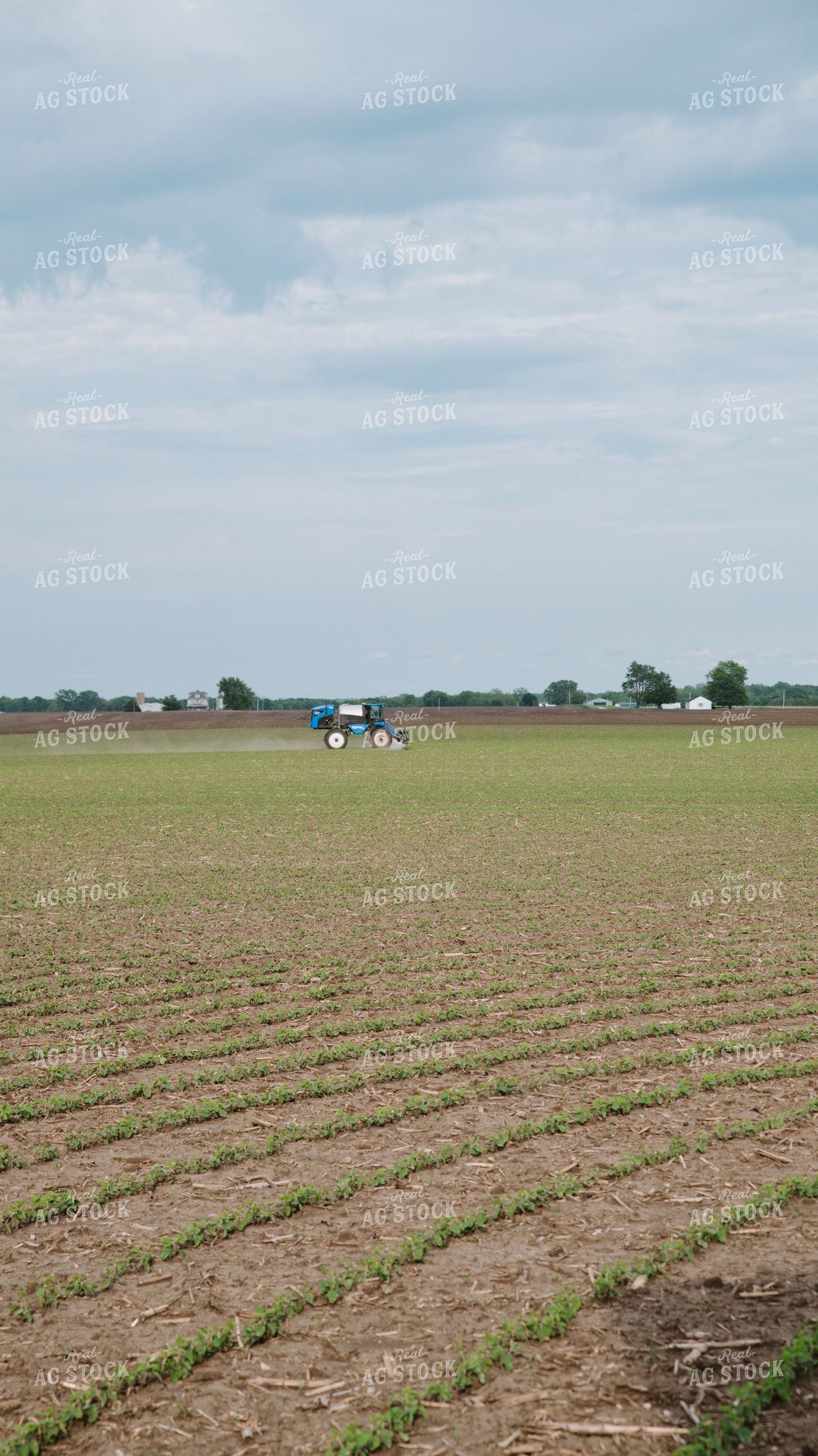 Self-Propelled Sprayer Applying Crop Protection to Early-Season Soybean Field 401003