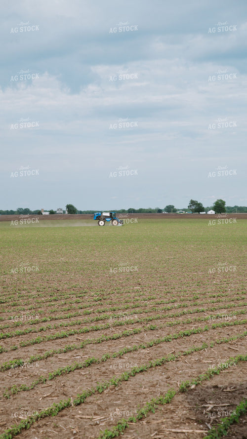 Self-Propelled Sprayer Applying Crop Protection to Early-Season Soybean Field 401003