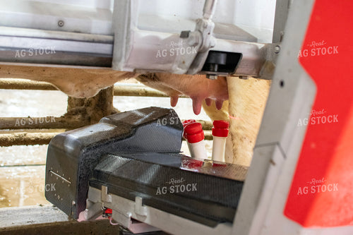 Robotic Milking Unit in Action 271027