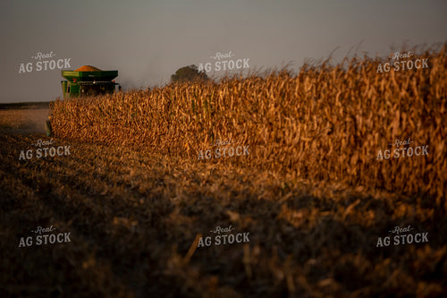 Harvest 2519