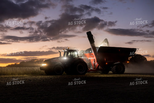 Soybean Harvest at Night 281119