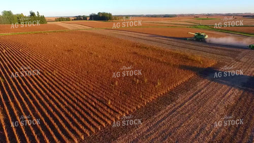 Aerial of Soybean Harvest 250015