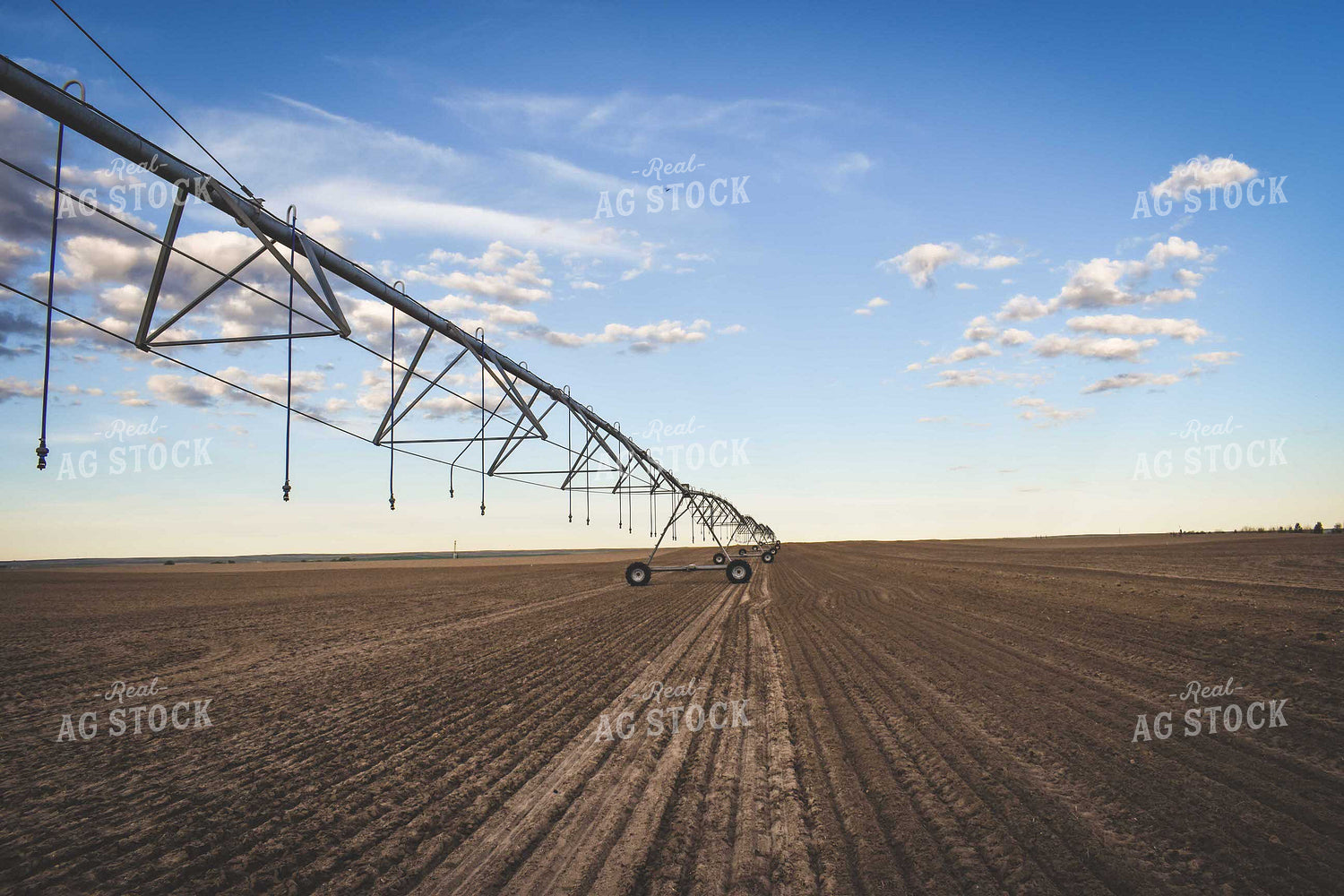 Irrigated Field 56061