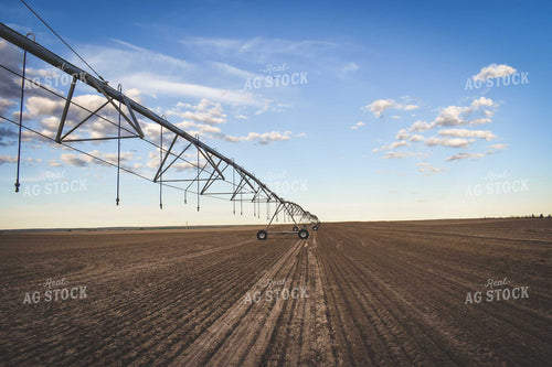 Irrigated Field 56061